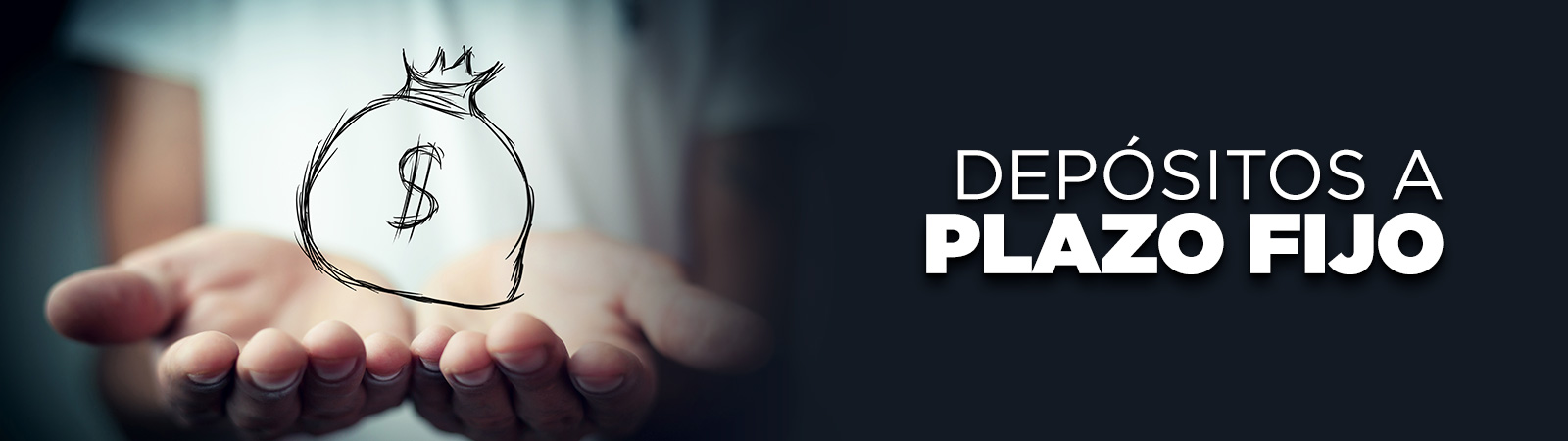 Depósitos a Plazo Fijo (DPF)
