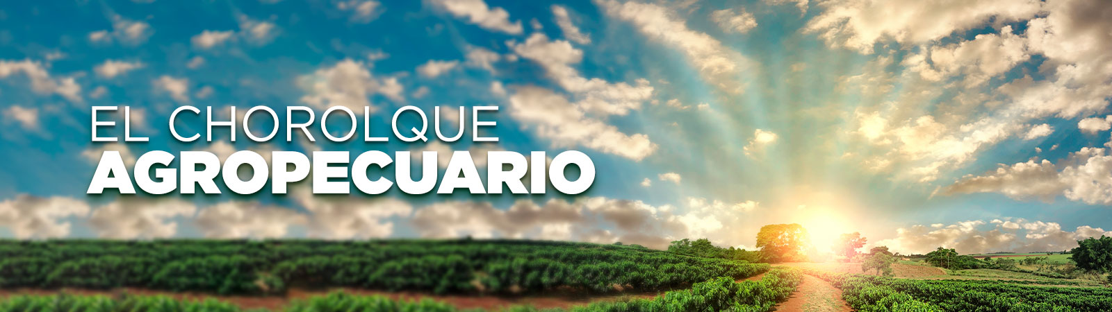 El Chorolque Agropecuario